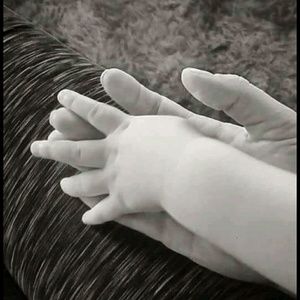 Meet your Posher, Benjamin